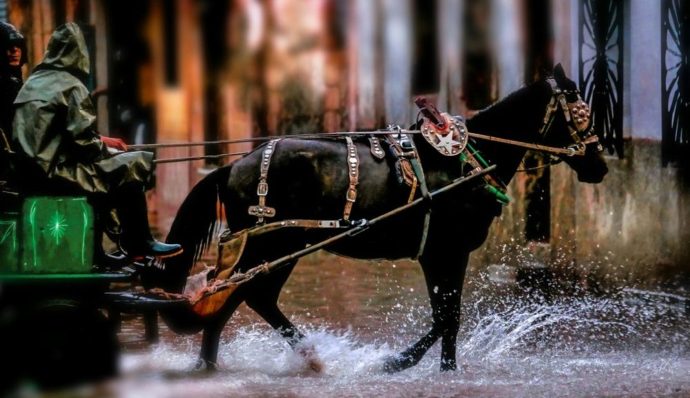 Photograph by Frank cobo blanco