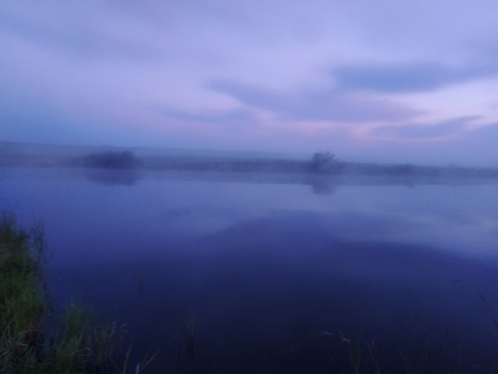Photograph by Elen Sheina