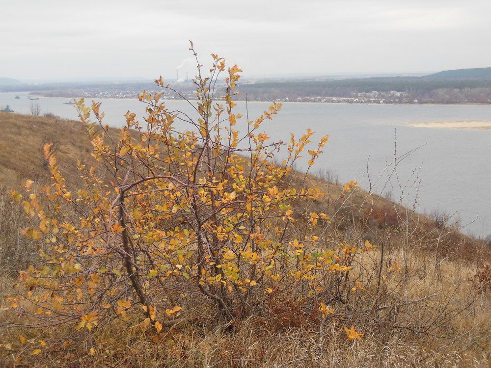 Photograph by Светлана Батурова