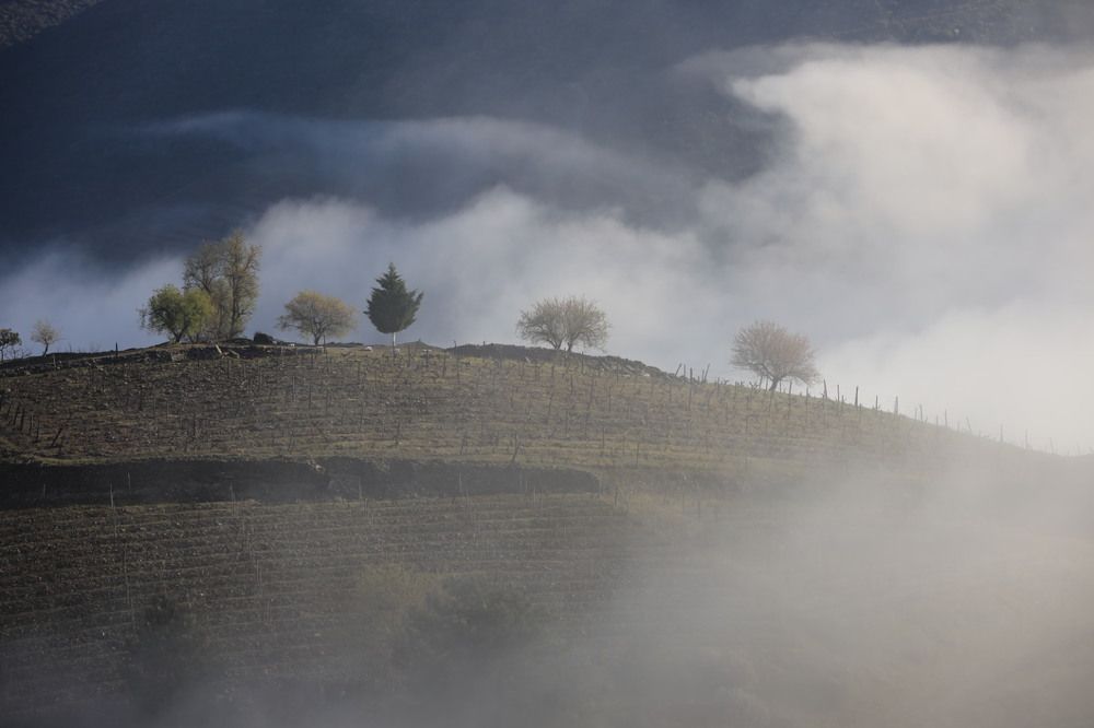 Photograph by Ольга Одаренко