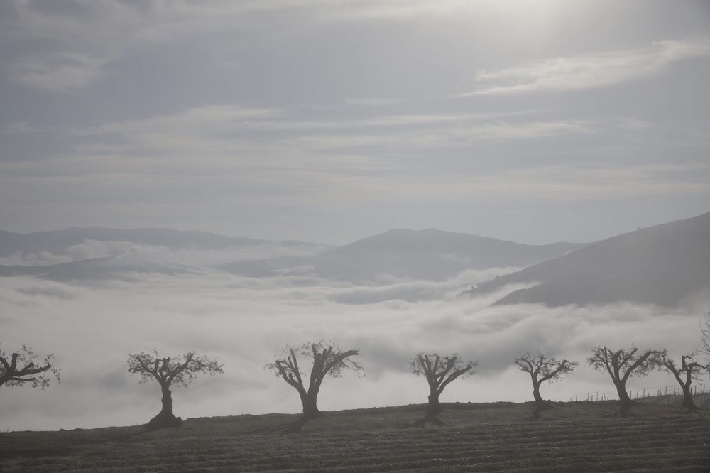 Photograph by Ольга Одаренко