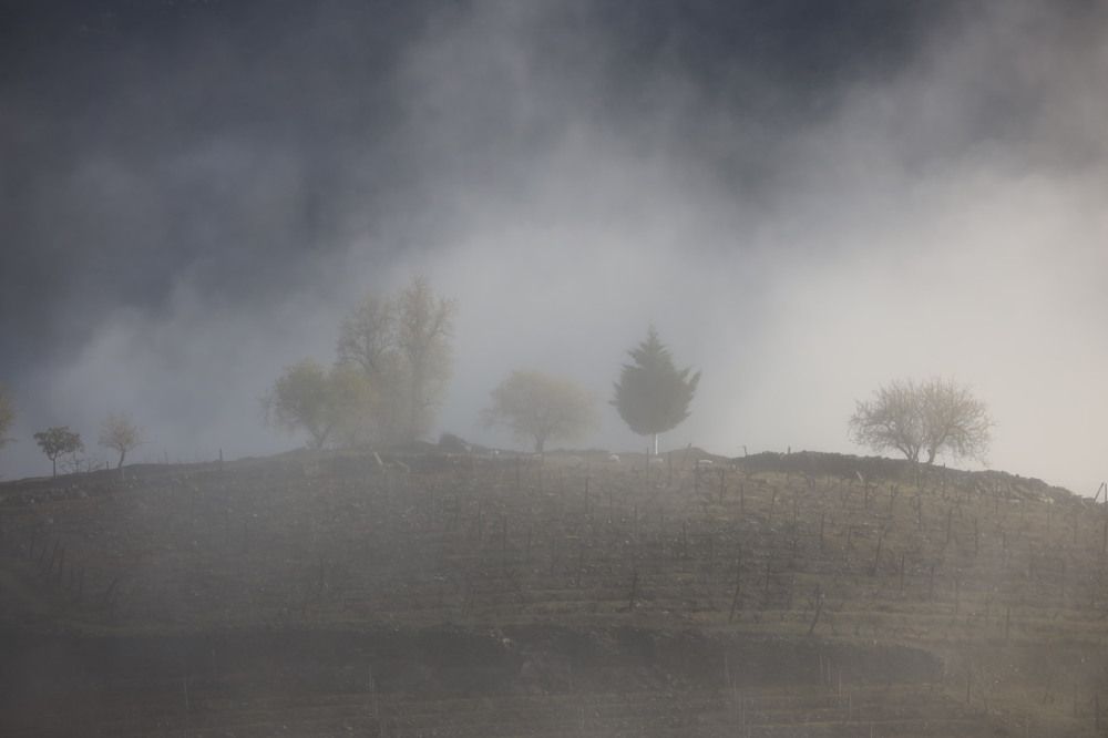 Photograph by Ольга Одаренко