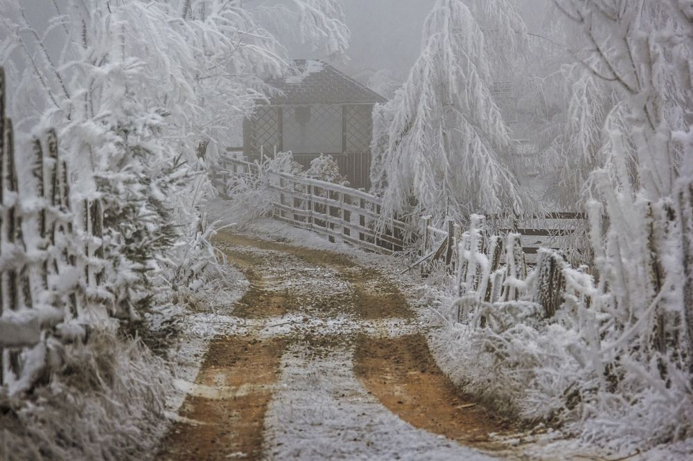 Фотография автора Comșa Bogdan