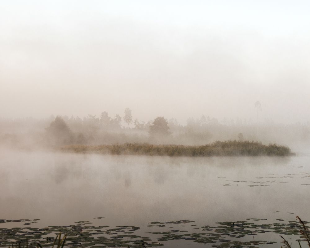 Photograph by Aliaksei Shandalin