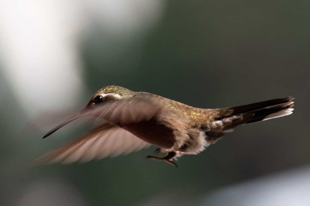 Photograph by Gianfranco