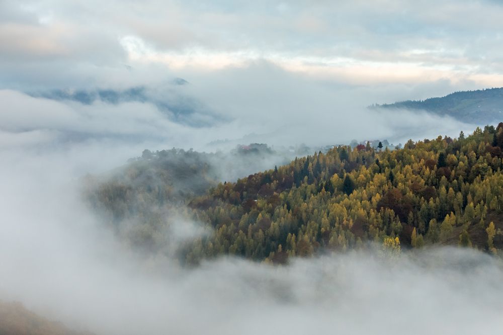 Фотография автора Comșa Bogdan
