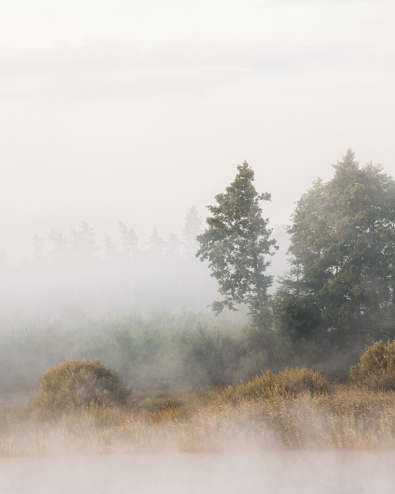 Photograph by Aliaksei Shandalin