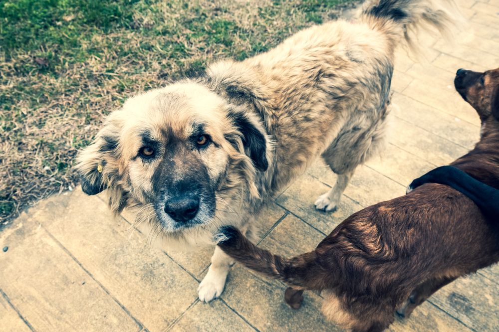 Уличная жизнь