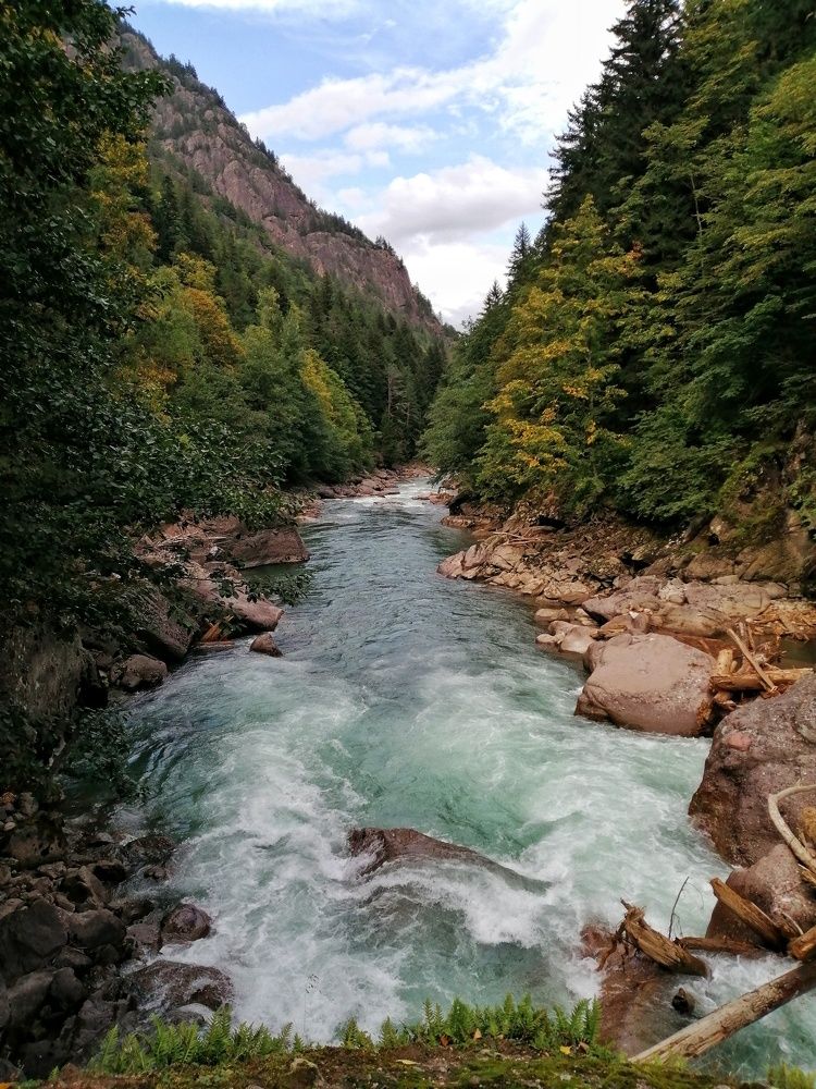 Photo #6685004