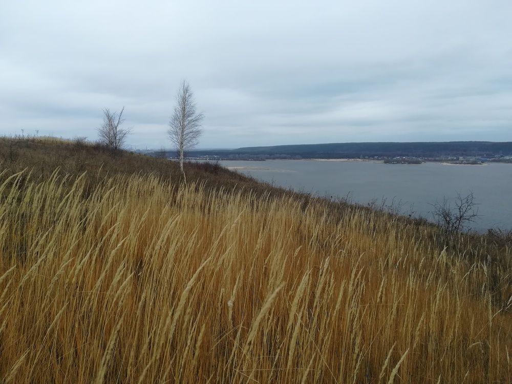 Photograph by Светлана Батурова