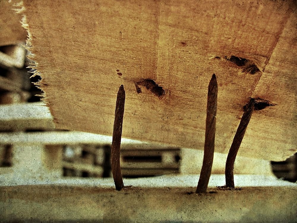 Несгибаемые