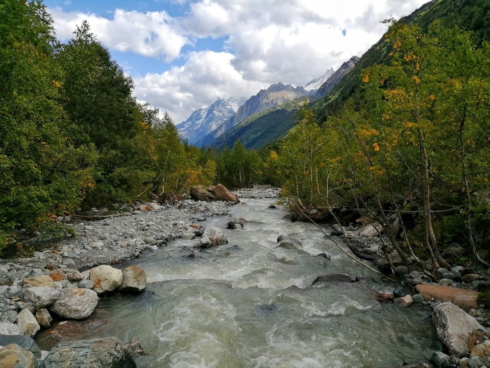 Photo #6685052