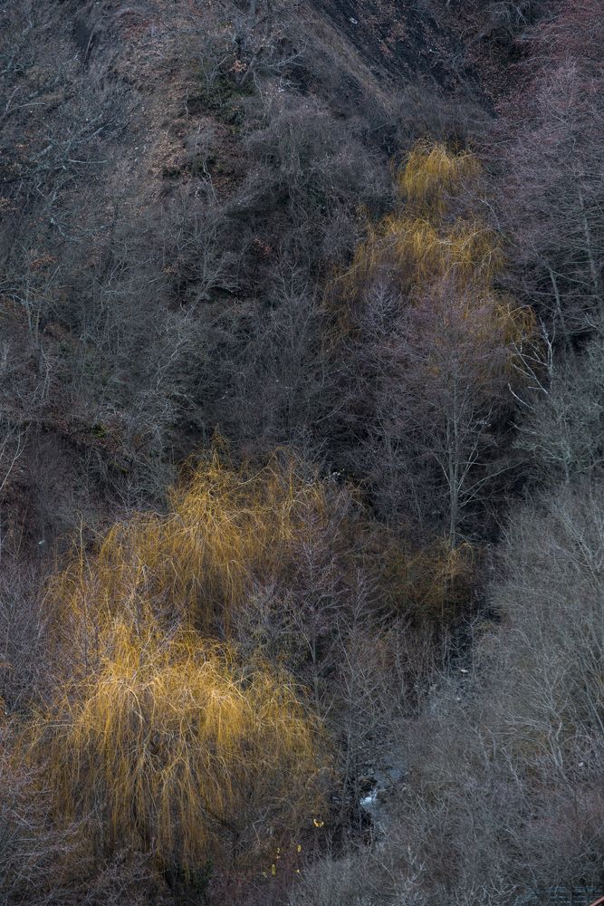 Photograph by Андрей Дмитров