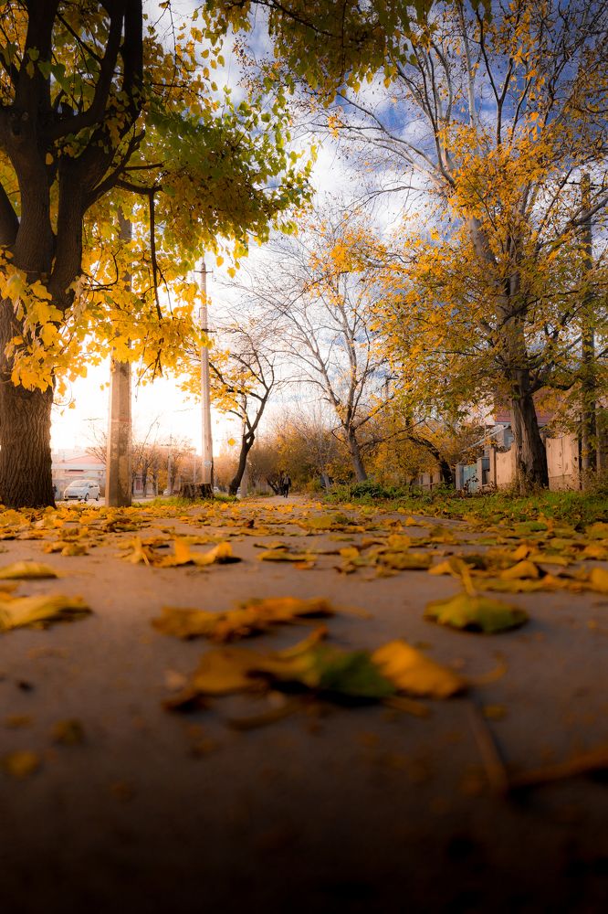 Photograph by Андрей Дмитров