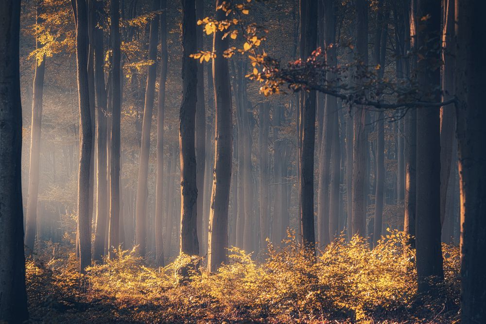 Photograph by Michał Tomczak