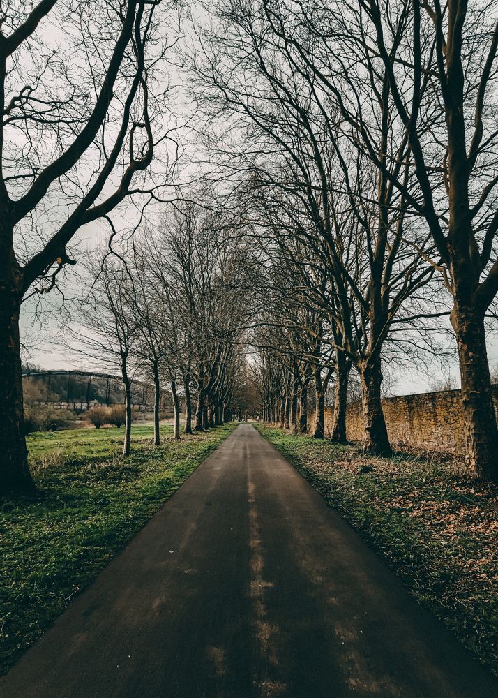 Photograph by Екатерина