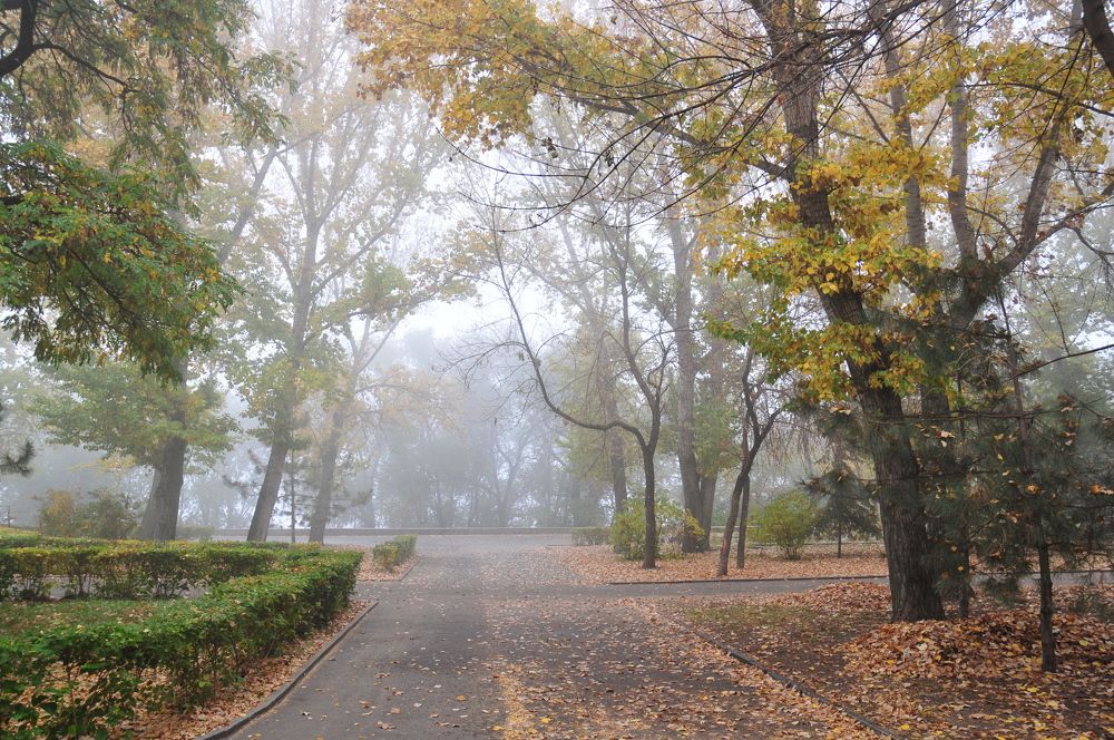 Photograph by Павел Бутенко