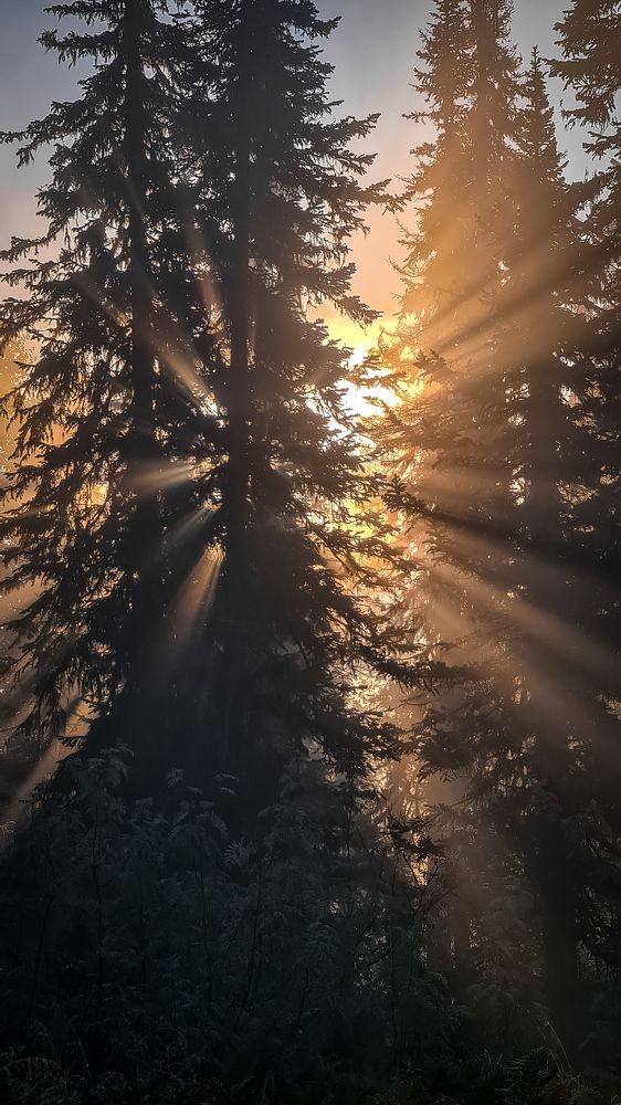 Photograph by Антон Мелёшкин