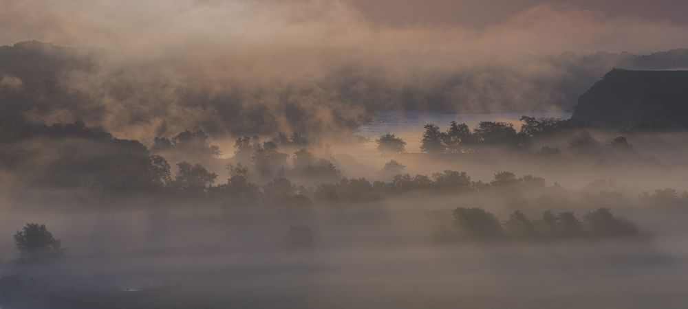 Утренний хаос