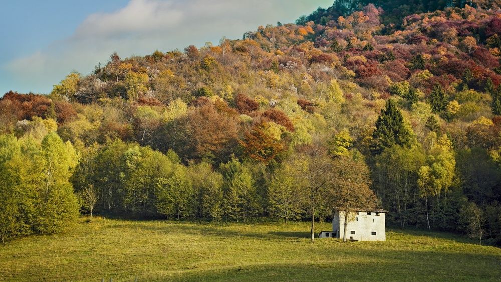 Фотография автора Nicolò Lagona