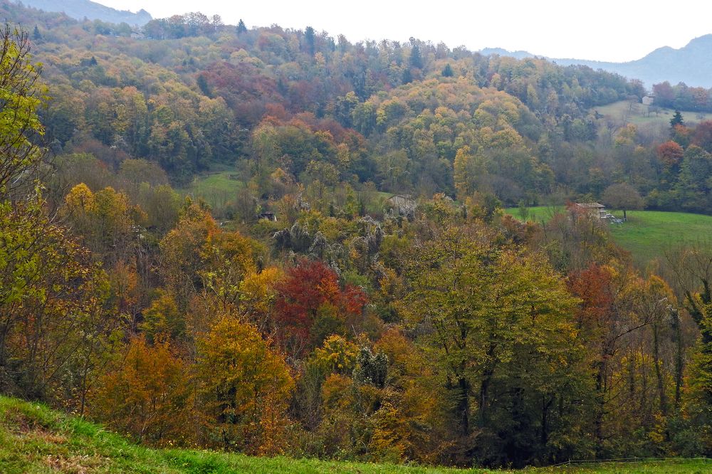 Фотография автора Nicolò Lagona