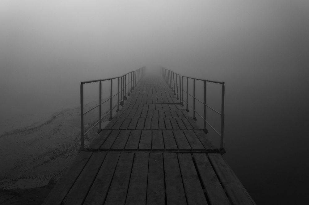 Фотография автора Светлана Груньковская