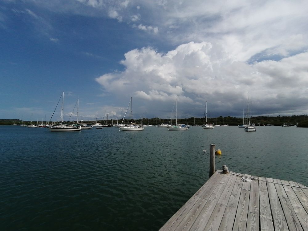 Photo #6685167