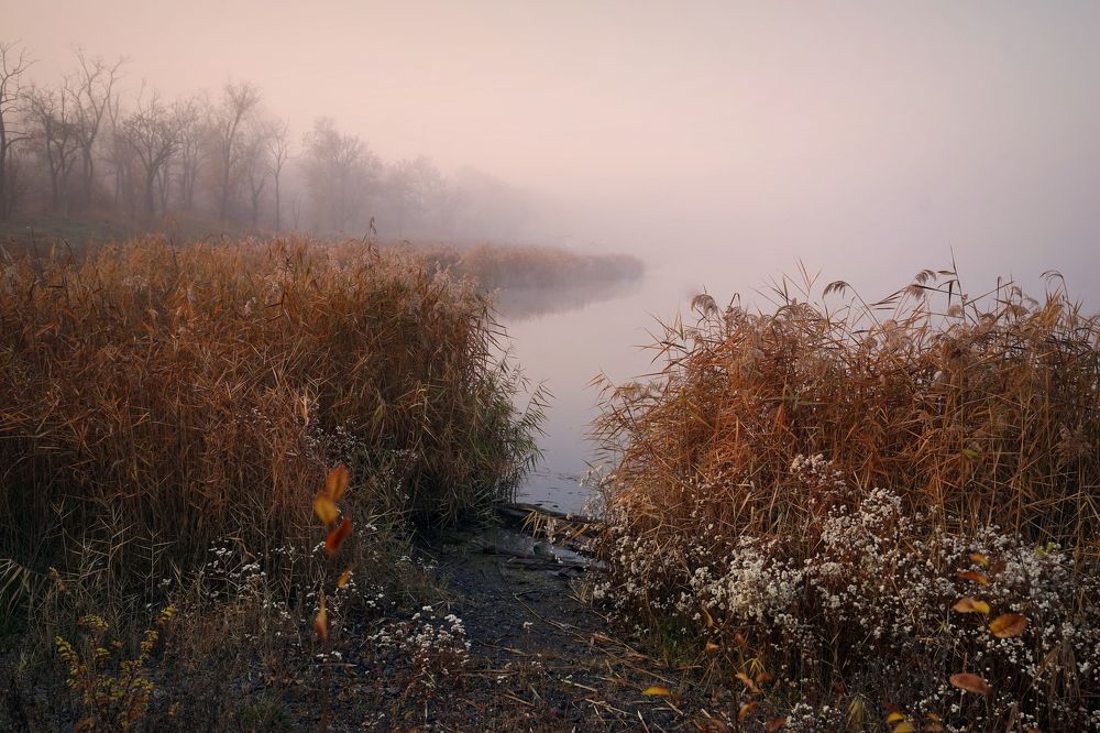 Фотография автора Светлана Груньковская