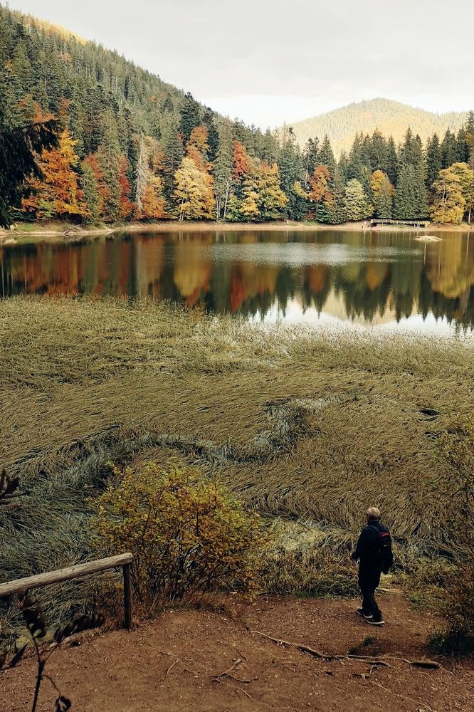 Photograph by Елена Николаева