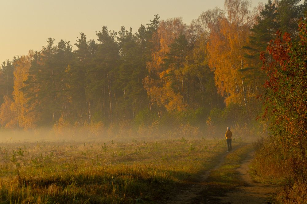 Photograph by Владимир Субботин