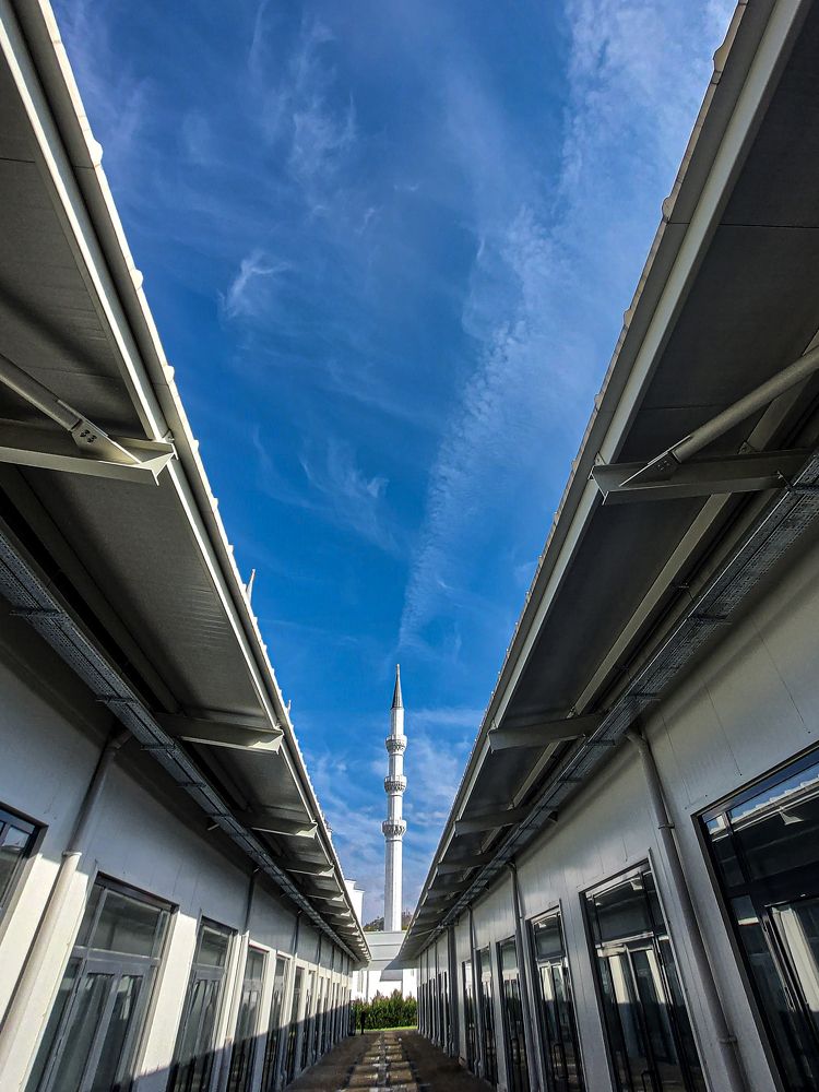 Фотография автора senol zumrut