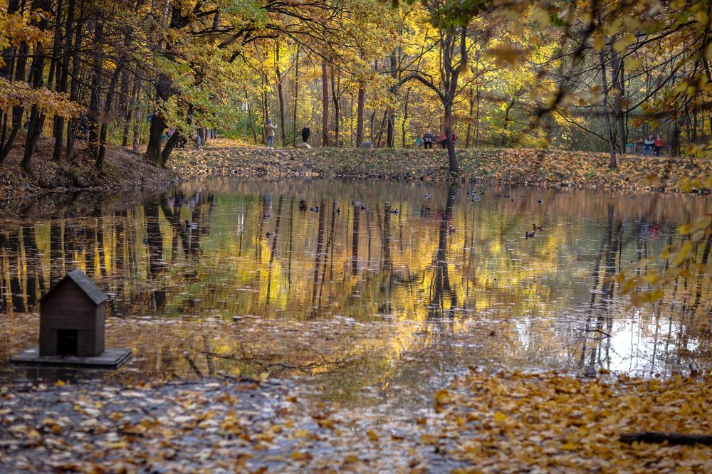 Photograph by Марина Демидова