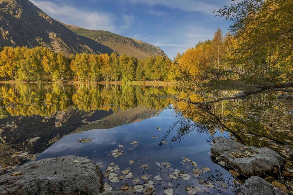 Осенние краски.