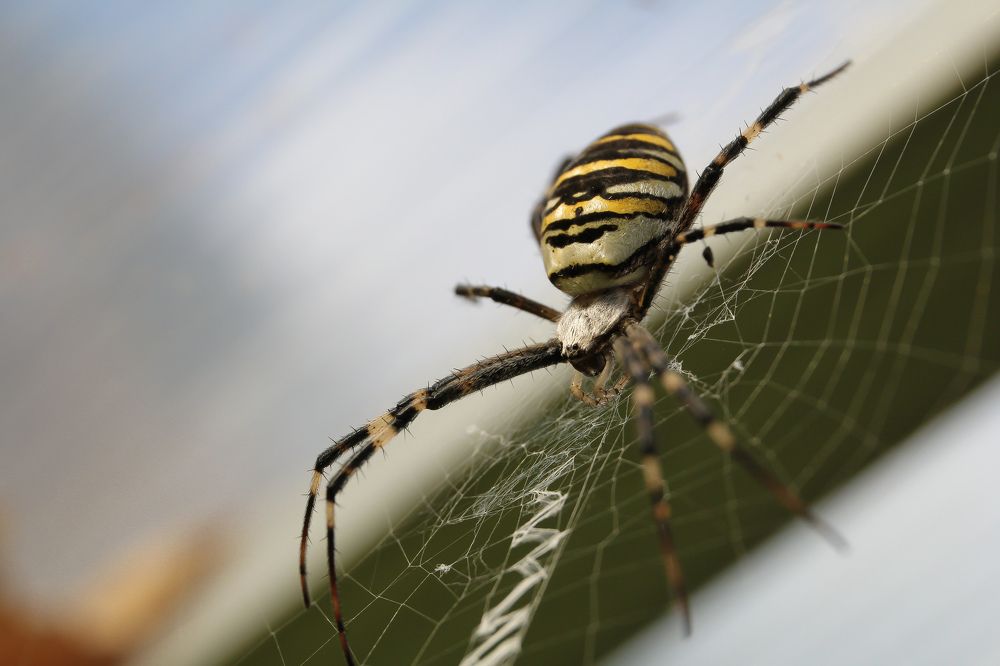 Photograph by Наталья Рябоконенко