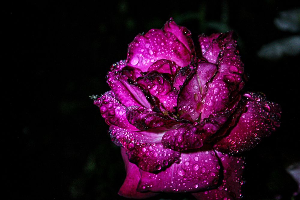 Photograph by Наталья Рябоконенко