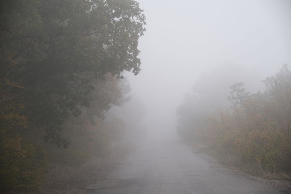 Photograph by Дмитрий Селинский