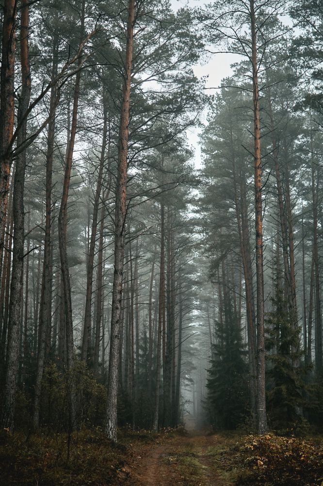 Photograph by Валерий Зенович