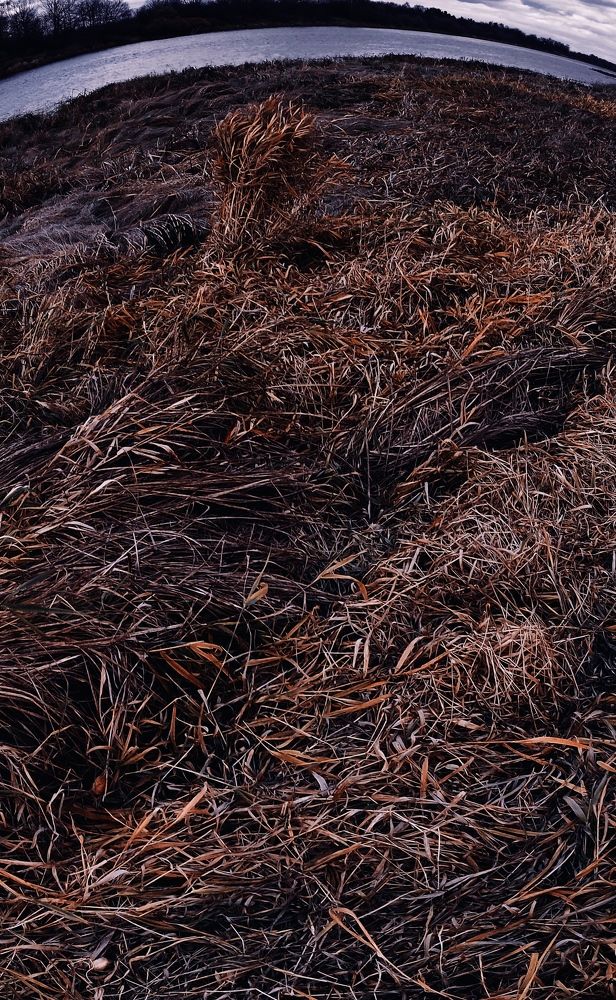 Photograph by Татьяна Ковалева