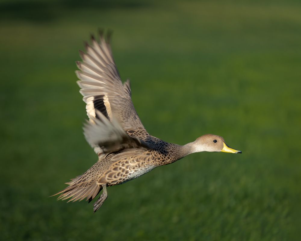 Photograph by Alejandro Cifuentes