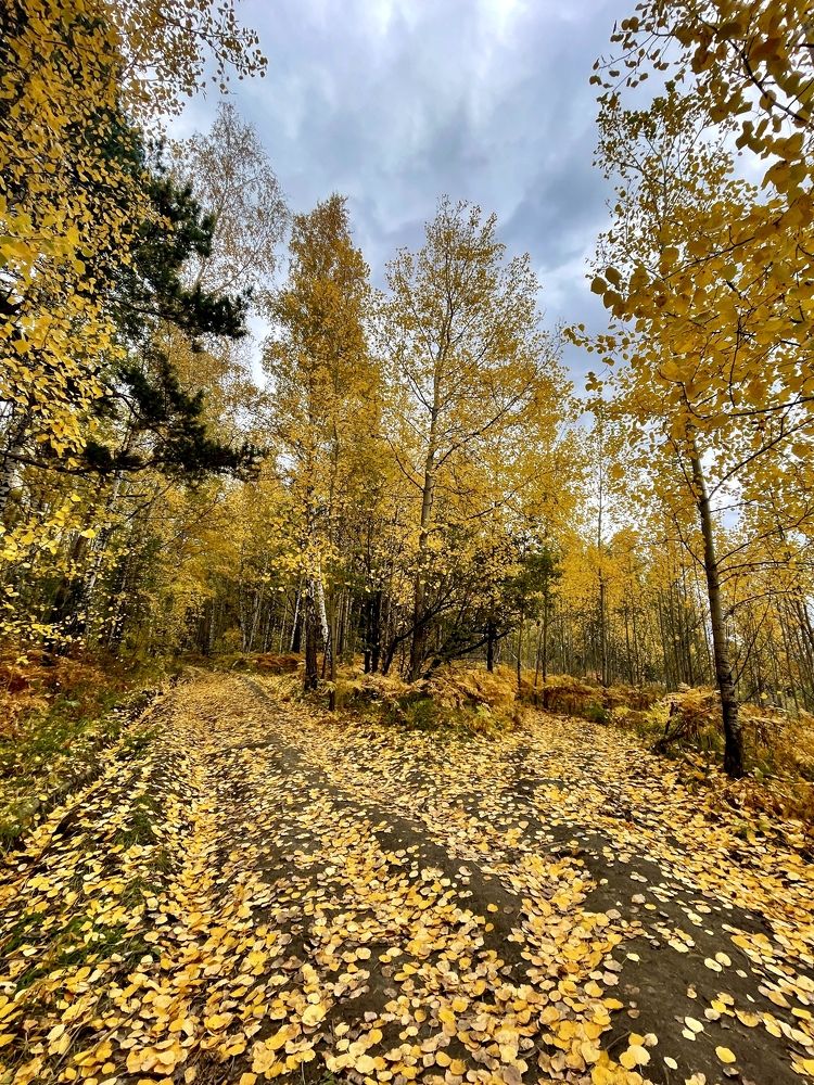 Photograph by Татьяна Ноздрина