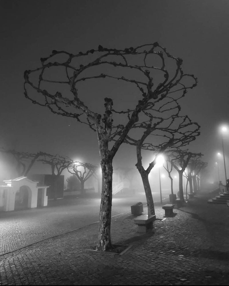 Photograph by Joao Figueiredo