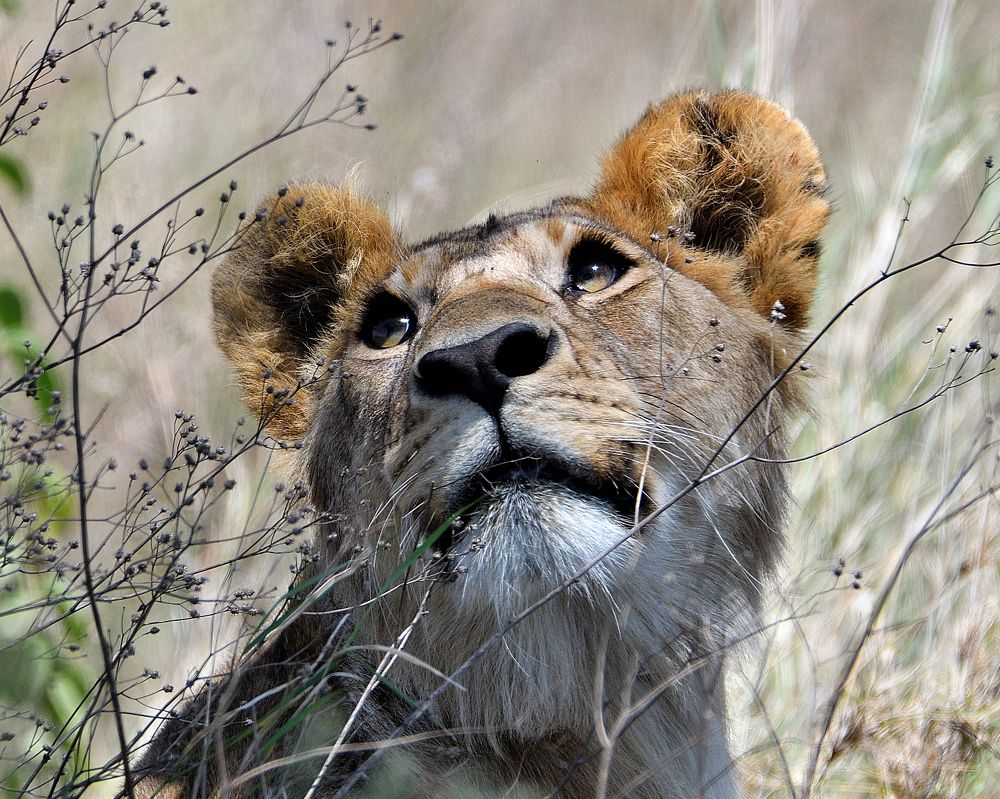 Photograph by eric keller