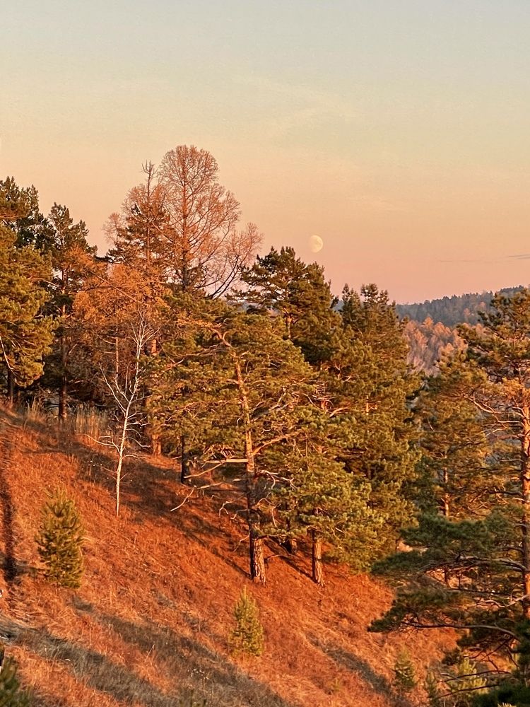 Photograph by Татьяна Ноздрина