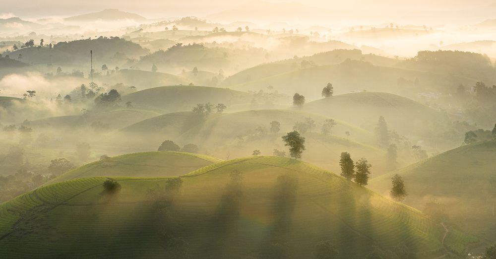 Photograph by Le Hoang Vu