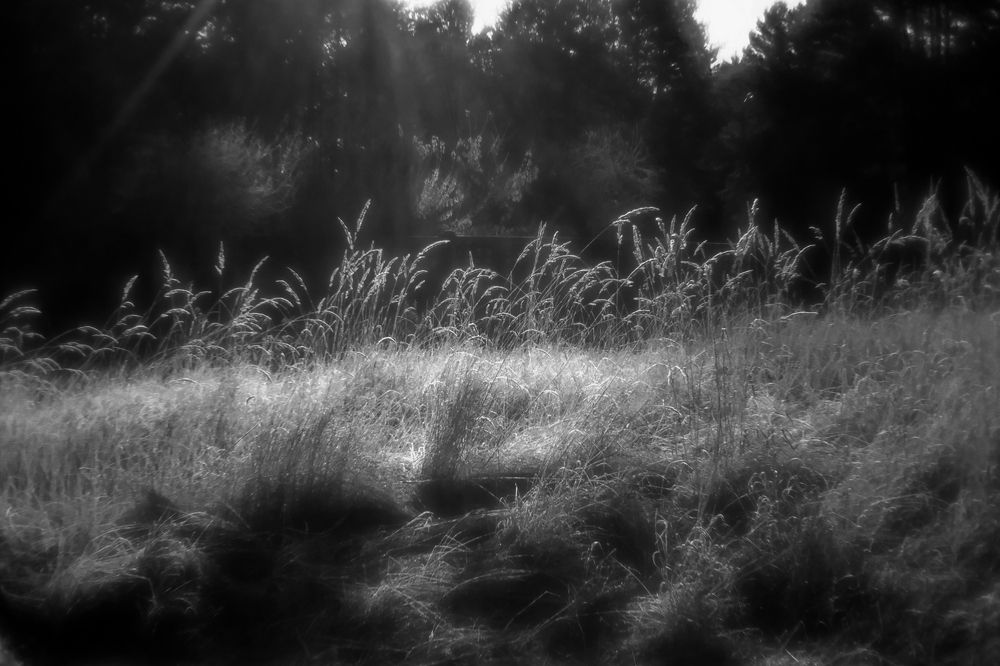 Photograph by Евгений Денисов