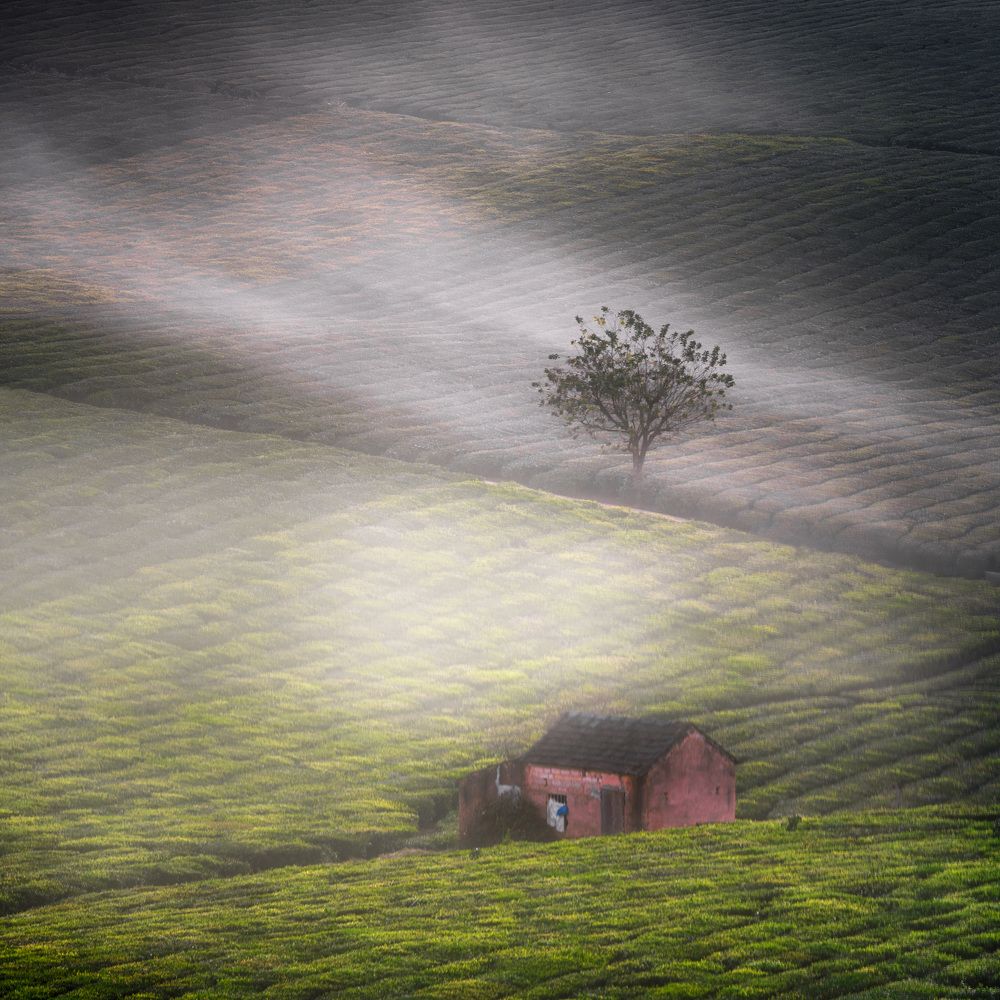 Photograph by DO DUC MINH