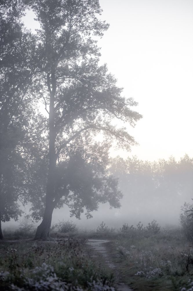 Photograph by Оксана Корчагина