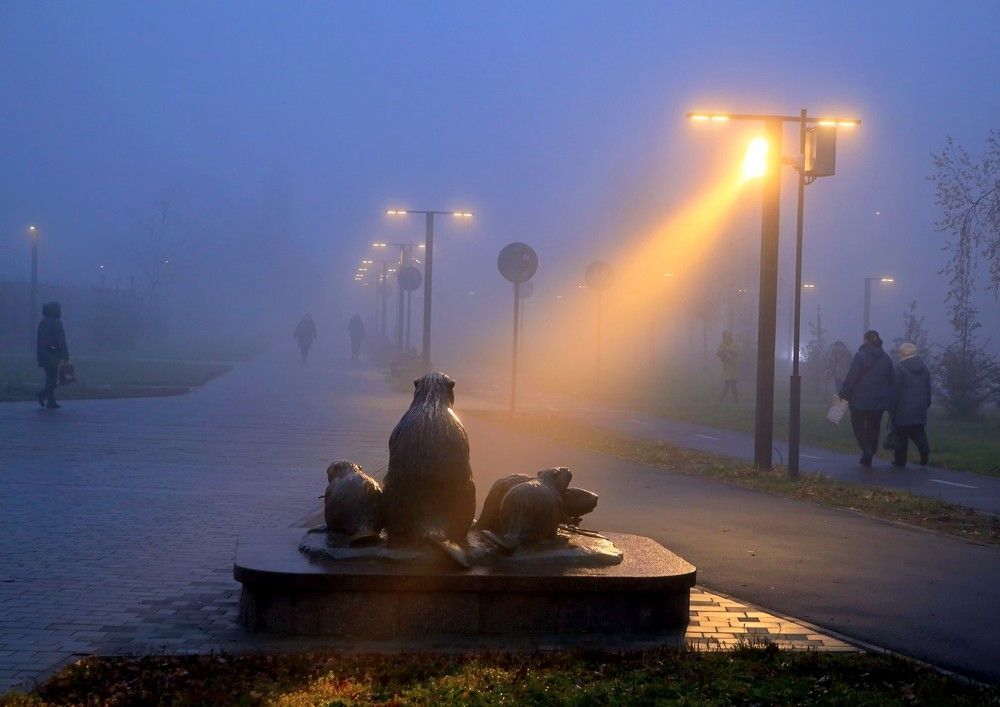 Photograph by Сергей Ключарёв