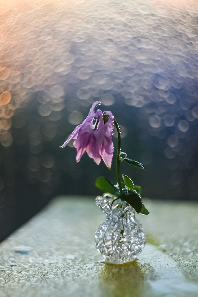 Photograph by Ирина Вольф