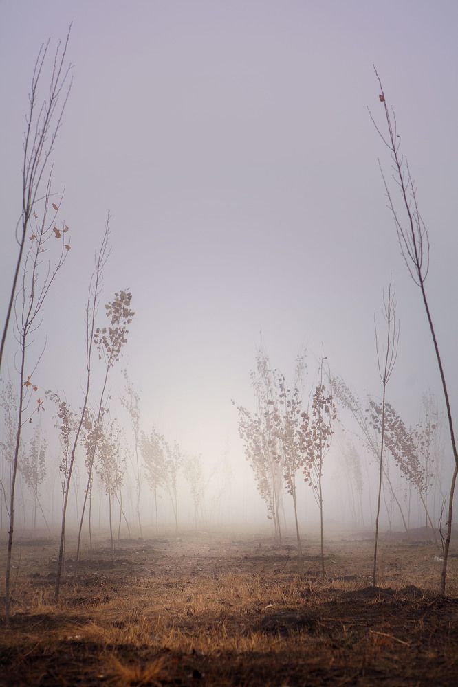 Photograph by Илья Кондрахин